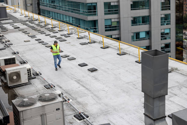 Best Sheet Metal Roofing  in Reisterstown, MD