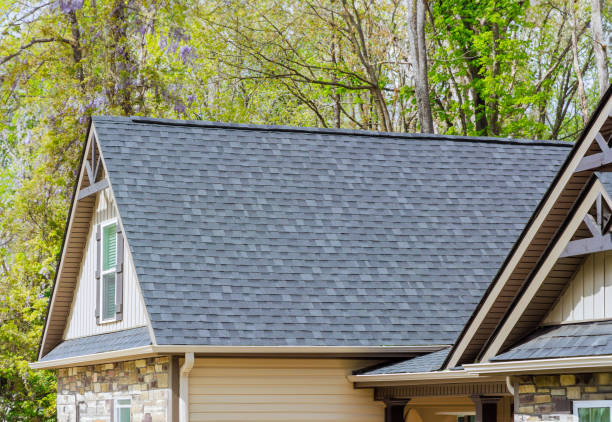Best Skylight Installation and Repair  in Reisterstown, MD