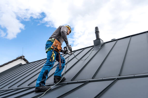 Best Roof Coating and Sealing  in Reisterstown, MD